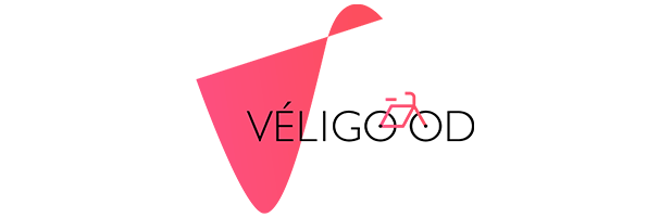 logo services veligood