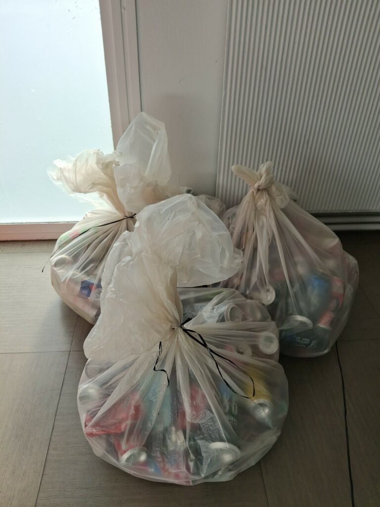 7e édition de la cleanwalk 9 Canettes